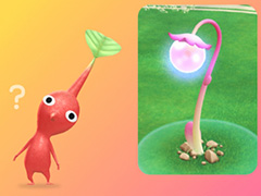 「Pikmin Bloom Journey 2024 : 東京ドームシティ」体験レポート。イベントに込めた想いを聞いたスタッフインタビューもお届け