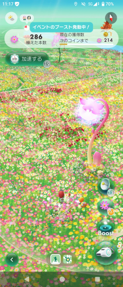 ꡼ No.004Υͥ / ˷ʲԥߥΤԤ򤪤ݡꥢ륤٥ȡPikmin Bloom Journey 2025θݡ