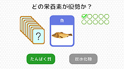 BodyQuest - ボディークエスト