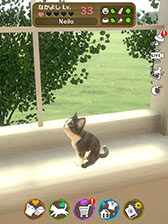 #004Υͥ/with My CAT - ǭȤ餽 -פ45˥꡼ޥۤǥڥåȤȤդ礨ߥ졼󥲡