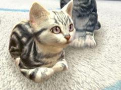 子猫と出会える育成SLG「with My CAT - 猫とくらそう -」の配信がスタート。プレイヤーの声に子猫が反応する音声認識機能も搭載