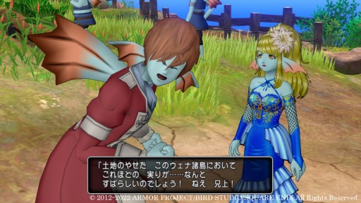 画像集#011のサムネイル/「ドラゴンクエスト X オンライン」大型アップデート“バージョン 6.1”の最新情報が公開。ウェナ諸島で出会う登場人物を紹介