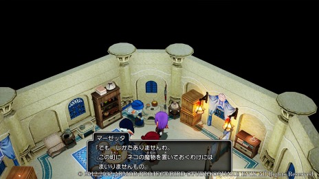 画像集#013のサムネイル/「ドラゴンクエストX 目覚めし五つの種族 オフライン」水の民ウェディが統治する“ウェナ諸島”の情報が公開。ヴェリナード王国の住人達も