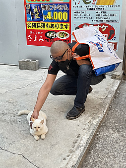 画像集 No.028のサムネイル画像 / マフィア梶田の二次元が来い!:第592回「沖縄で白猫とゴルフをするために手術箇所を増やした男」