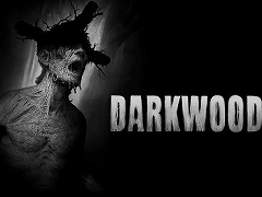 PS4/Switch版「Darkwood」が9月2日に発売決定。拾い集めた資源を駆使して危険な森からの脱出を目指す,2Dサバイバルホラーアクション