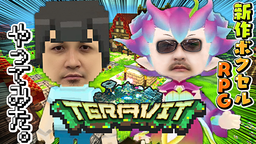 ڥƥӥåȡۿץɥɥܥå ­ˤ路餬TERAVIT