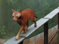 話題の猫ゲー「Stray」の,“猫飼いさんに刺さりまくる”仕草集 「ミニシアター4Gamer」:第8回
