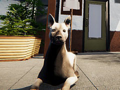 動物保護施設の運営シム「Animal Shelter」が3月23日に日本語対応でリリースへ。不運な犬や猫たちの世話して里親を探してあげよう