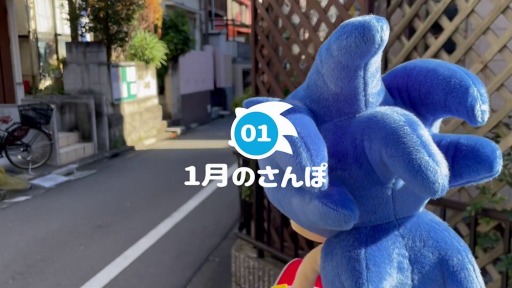 画像集#002のサムネイル/「ソニック」の新たなSNS動画企画“ソニさんぽ”がスタート。1月のさんぽ動画を公開