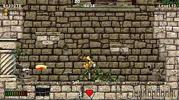 Moorhuhn モーアフーン ジャンプアンドラン トレジャーハンター