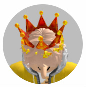  No.003Υͥ / ץϥ롼סRobloxWeb3󥸥ư