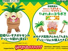 「ナッシーリゾート in 新宿みやざき館KONNE」2月10日,11日に開催。たまごポケモン「タマタマ」とコラボしたきんかんや,ナッシーコラボ商品を販売
