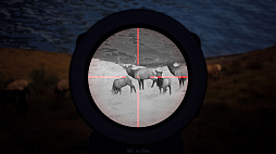 ꡼ No.007Υͥ / Way of the HunterסɲDLCNight Hunting Pack䳫ϡŻ륿פΥġȤä֤μĤĩ路褦