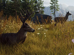 オープンワールド型ハンティングゲーム「Way of the Hunter」のPS5/Xbox Series X版は8月16日,PC版は8月17日に発売決定