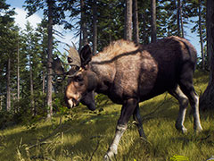 「Way of the Hunter」最新トレイラー公開。ミュールジカやアメリカグマなど,ゲーム内で出会えるさまざまな動物を紹介する映像