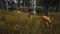 画像集#003のサムネイル/ハンティングゲーム「Way of the Hunter」，動物紹介トレイラー第2弾を公開。美しい自然の中で暮らすアカシカやシャモアなどの姿が確認できる