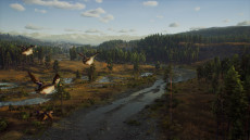 画像集#005のサムネイル/ハンティングゲーム「Way of the Hunter」，動物紹介トレイラー第2弾を公開。美しい自然の中で暮らすアカシカやシャモアなどの姿が確認できる