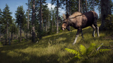 画像集#006のサムネイル/ハンティングゲーム「Way of the Hunter」，動物紹介トレイラー第2弾を公開。美しい自然の中で暮らすアカシカやシャモアなどの姿が確認できる