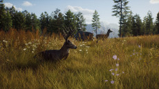 画像集#008のサムネイル/ハンティングゲーム「Way of the Hunter」，動物紹介トレイラー第2弾を公開。美しい自然の中で暮らすアカシカやシャモアなどの姿が確認できる