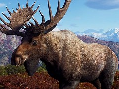 「Way of the Hunter」,無料大型DLC“オーロラショアーズ”の配信日を2月23日に決定。登場する動物たちを確認できるトレイラーが公開