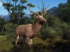 ニュージーランドの大自然の中で狩猟を楽しめる。「Way of the Hunter」,追加DLC「マタリキ公園」配信開始