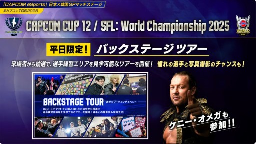 ꡼ No.008Υͥ / CAPCOM CUP 12סSFLɥեʥפδå䤬1010˳ϡ辡Υ饤ֻİͭˡTGS2025
