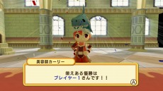 画像集 No.055のサムネイル画像 / 「ドカポンキングダム コネクト」6種の上級職業と“美容師カーリー”の情報が公開に。最大4人でのオンライン対戦の詳細も