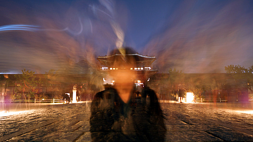 ꡼ No.007Υͥ / ʥ೫ȯȥȤϲɤͤADVChasing LightסSwitchǤ꡼