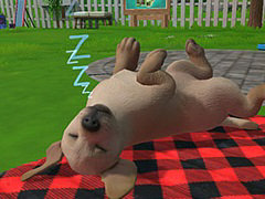 柴犬,ラブラドール,コーギーなど9種類の子犬たちと触れあえる。Switch用育成ゲーム「LITTLE FRIENDS 〜PUPPY ISLAND〜」,7月6日発売