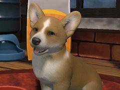 かわいい子犬たちと自然あふれる島で過ごし,思い出を作る。Switch版「LITTLE FRIENDS 〜PUPPY ISLAND〜」,本日発売