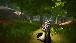 Morels: Homestead