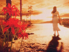 1980年代の日本が舞台の一人称ホラー「ウツロマユ - Hollow Cocoon -」のSteamストアページ公開。村の風景には,懐かしさと不気味さが漂う