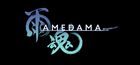 雨魂 - AMEDAMA -