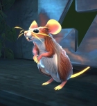the Spirit and the Mouse 精霊とネズミのおはなし