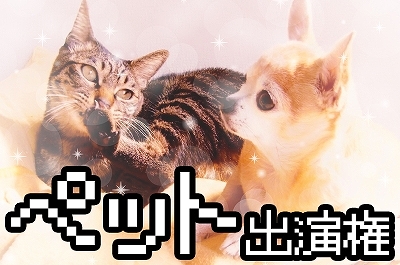 画像集 No.006のサムネイル画像 / “野田AI”の質問に答えるだけで野田ゲーが自動生成される。野田ゲープロジェクト第3弾「スーパー野田ゲーMAKER」始動