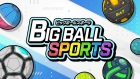 ビッグボールスポーツ