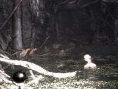 不気味な湖を舞台にした「Drowned Lake」,Steamストアページを公開。ブラジルの神話からインスピレーションを得たホラーフィッシング