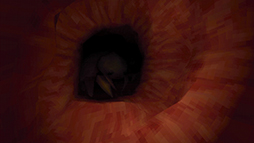  No.001Υͥ / Ĳţʤɤȥܥǥۥ顼ɡRevenge Of The Colon1223ȯ
