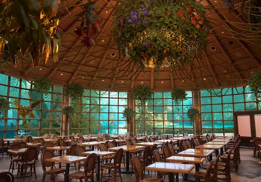 ꡼ No.002Υͥ / ֥ϥ磻륺סUSJΥܥ쥹ȥ1119ָǥץ󡣥ȥʤɤǤARץ꡼Ʊ