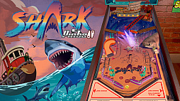Wild Pinball Bundle