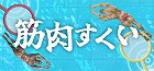 筋肉すくい