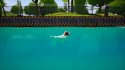 Dogs Club