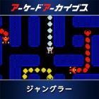 アーケードアーカイブス ジャングラー