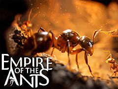 フォトリアルな昆虫の世界を描くRTS「Empire of the Ants」の最新トレイラー公開。虫が苦手な人は閲覧注意