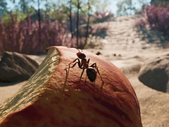 リアルフォトな世界でアリ界の救世主となって冒険する。RTS「蟻の帝国-Empire of the Ants」,PS5向けに12月12日発売