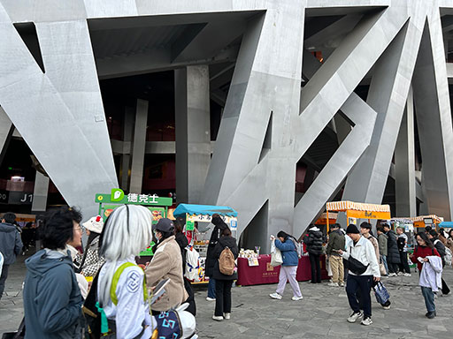 画像ギャラリー No.009のサムネイル画像 / 来場者数6万2196人はeスポーツ大会のギネス記録!? 北京国家体育場で行われた「Honor of Kings」のプロリーグ「KPL」決勝戦レポートをお届け