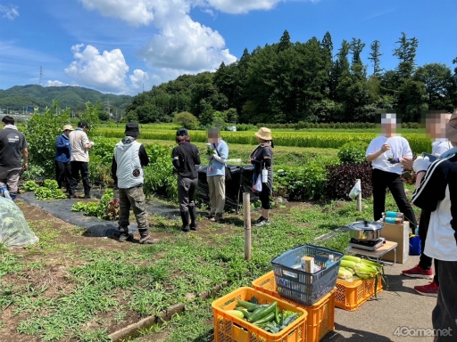 ꡼ No.006Υͥ / 郎ꥢȤʤΤǡFarming Simulator 25פ˥ץ쥤ƤߤǤܺδ٤Ϥˡ