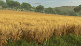 画像ギャラリー No.014のサムネイル画像 / 「Farming Simulator 25」，John Deereの農機が登場する無料DLC第6弾を配信