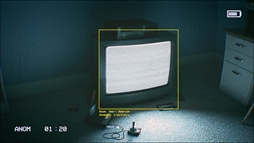꡼ No.010Υͥ / ̵¤³ϭæФ뤿˰Ѥõۥ顼CAPTUREDסSteamȥڡ