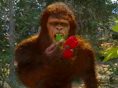 ビッグフットになれるサバイバルシム「Bigfoot Life」,最新トレイラーを公開。ヒーリングスキルで野生動物を治療するシーンも